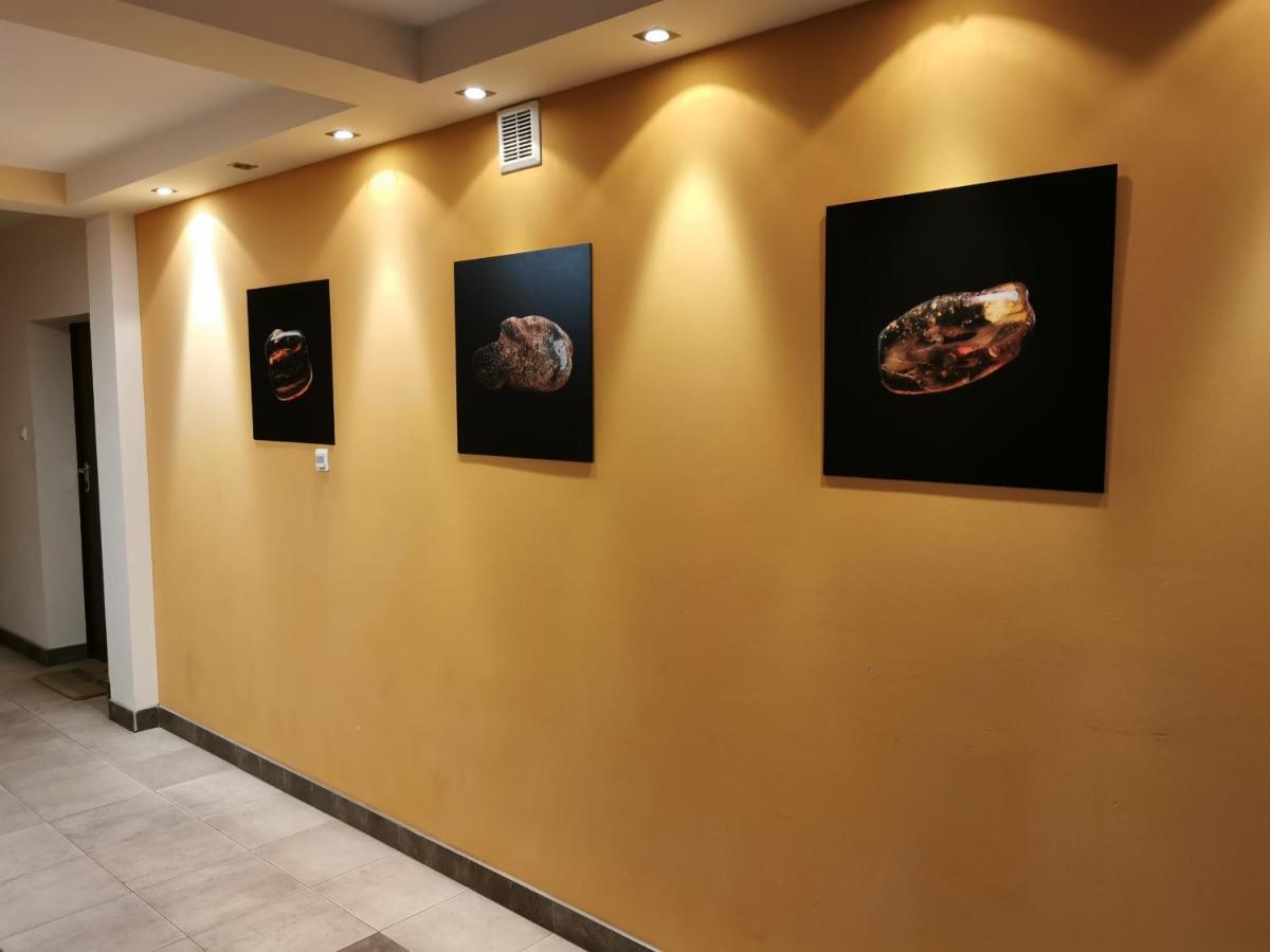 Apartament Arisa Władysławowo Екстериор снимка